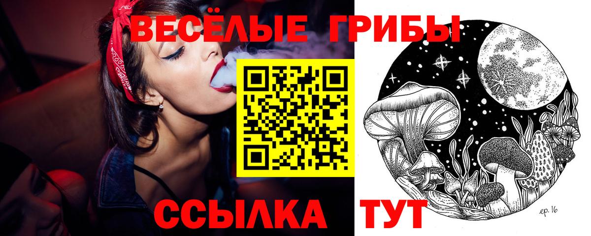 Галлюциногенные грибы ЛСД Боровичи