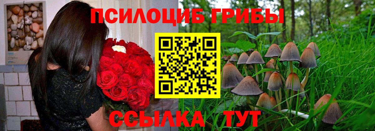 Псилоцибиновые грибы Cubensis  Вход с VPN  Боровичи 